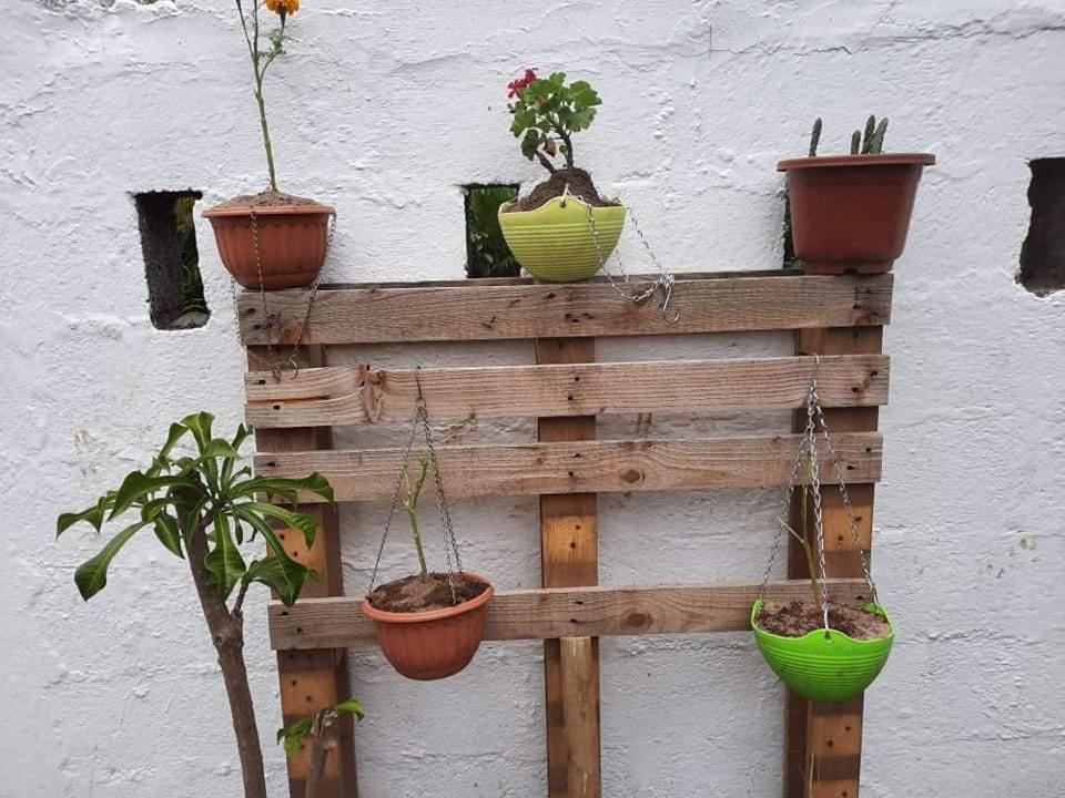 Cazhibiscus Acomodação com café da manhã Trou aux Biches Exterior foto